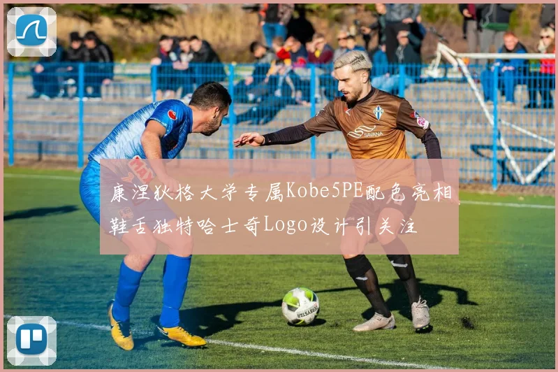 康涅狄格大学专属Kobe5PE配色亮相鞋舌独特哈士奇Logo设计引关注